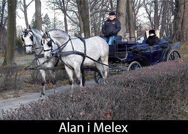 Alan i Melex