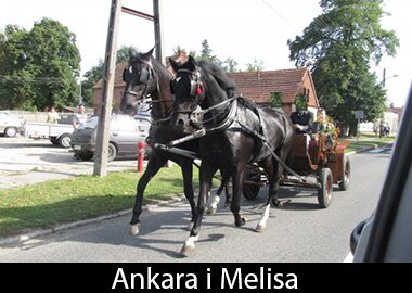 Ankara i Melisa