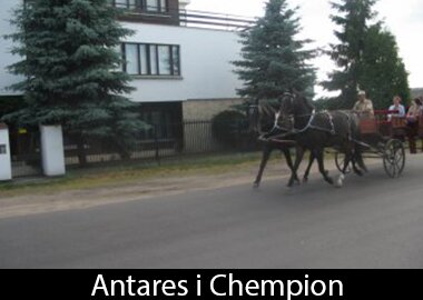 Antares i Chempion