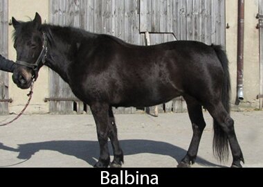 Balbina