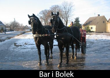 Bar i Bolek
