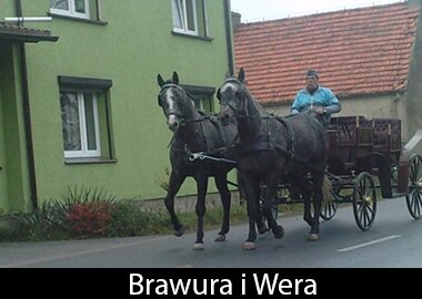 Brawura i Wera