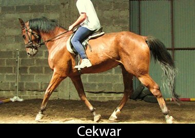 Cekwar