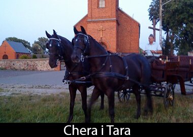 Chera i Tara