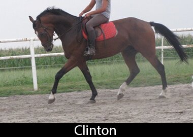 Clinton
