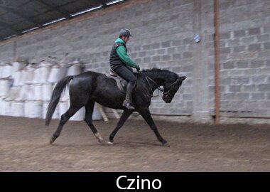 Czino