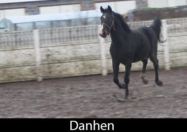 Danhen