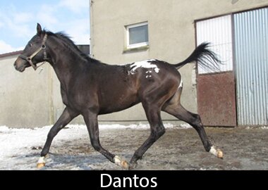 Dantos