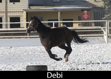 Debi