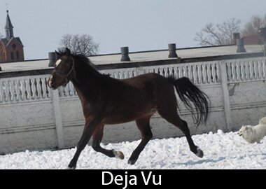 Deja Vu