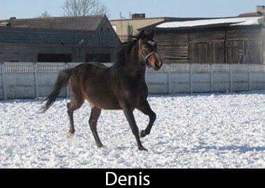 Denis