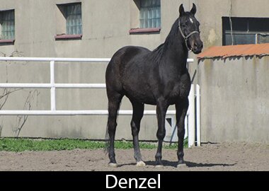 Denzel