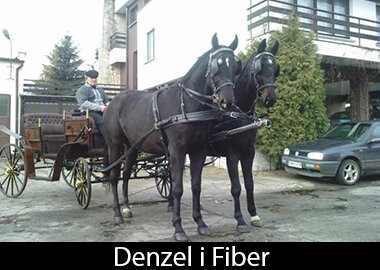 Denzel i Fiber