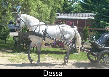Dessa