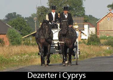 Dezerter i Cyprys