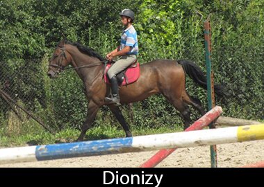 Dionizy