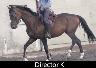 Director K