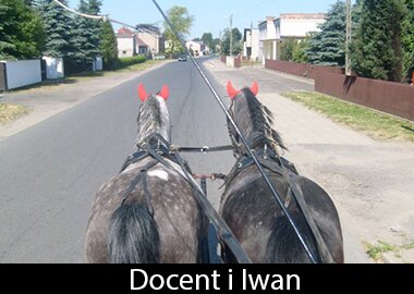 Docent i Iwan