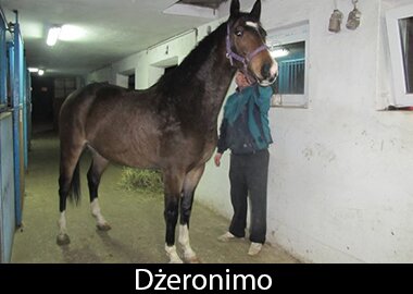 Dżeronimo