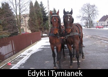 Edykt i Tymianek