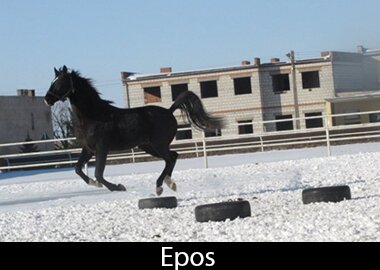 Epos
