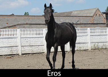 Eros