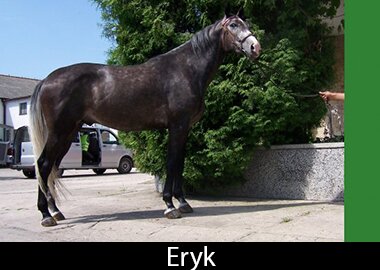 Eryk