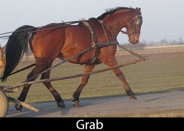 Grab