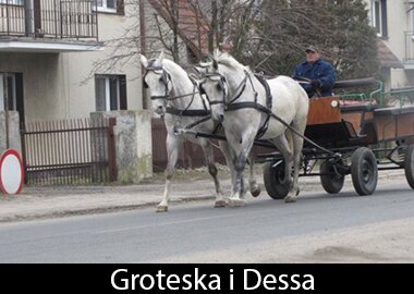 Groteska i Dessa