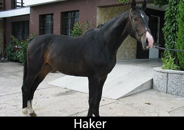 Haker