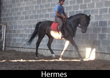 Hermes