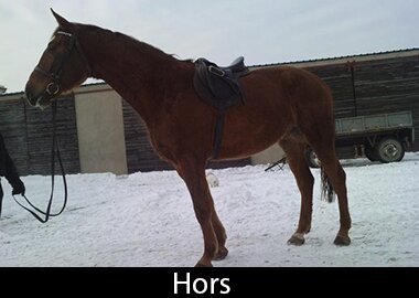 Hors