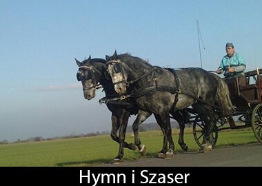 Hymn i Szaser