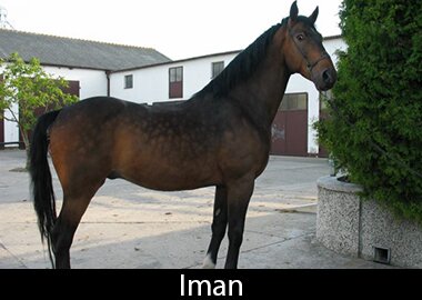 Iman
