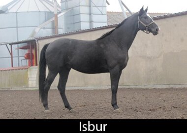 Isbur