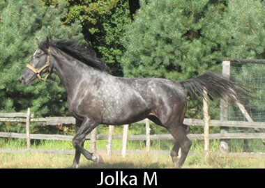 Jolka M