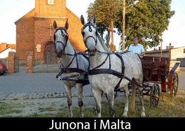 Junona i Malta