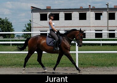 Jurant