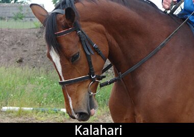 Kalahari