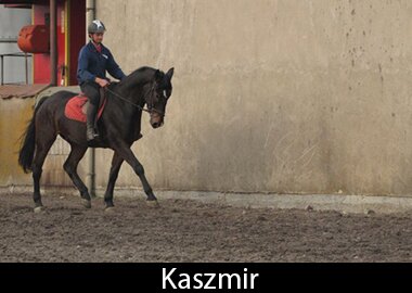 Kaszmir