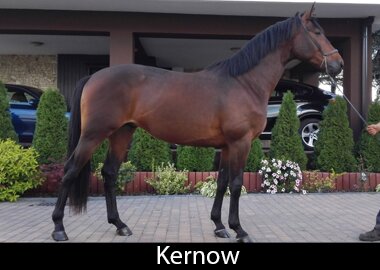 Kernow