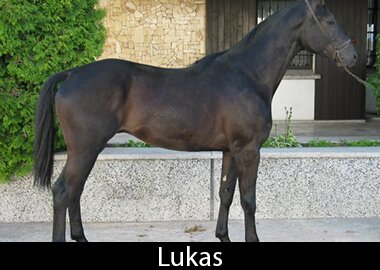 Lukas