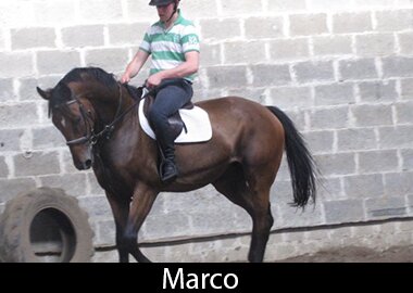 Marco