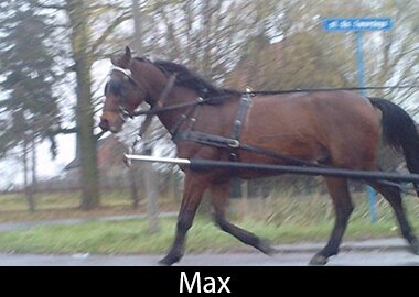 Max