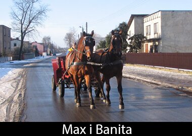 Max i Banita