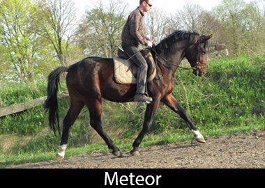 Meteor