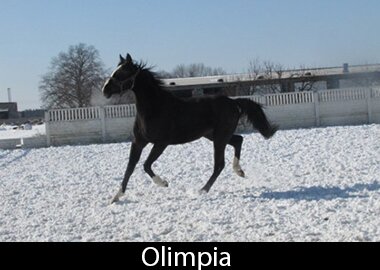 Olimpia