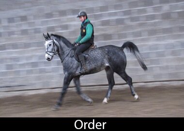 Order