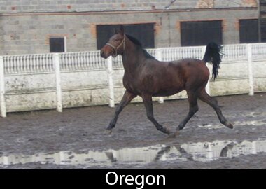 Oregon