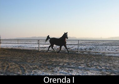 Orenda I